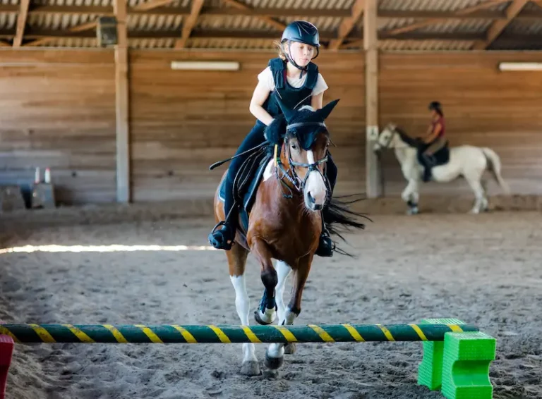 horse riding camp chantemerle